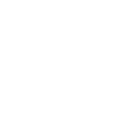 chizhik_08_07_1